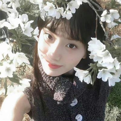 寻芳浪蝶
